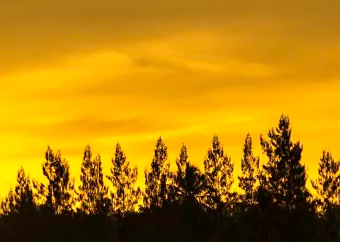 Beautiful sunset with orange clouds Stock Photos