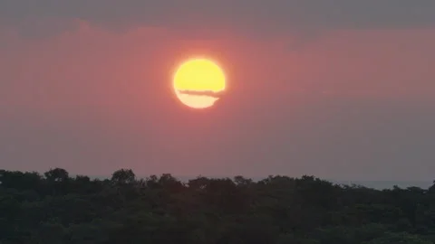 A beautiful sunset over the African Savannah Stock Footage