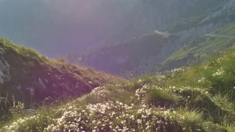 Beautiful sunset over Alps. Stock Footage 138256966