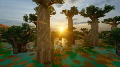 Beautiful sunset over Baobab trees Stock Footage 143393314