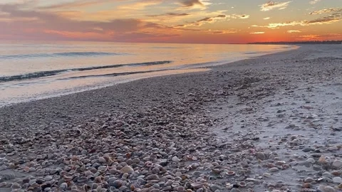 Beautiful sunset over a beach full of seashells and waves Stock Footage 166816008