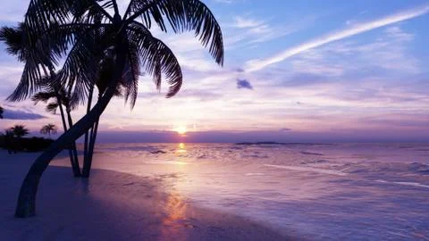 Beautiful sunset over the endless evening ocean. Blue sky, yellow sun, palm Stock Illustration