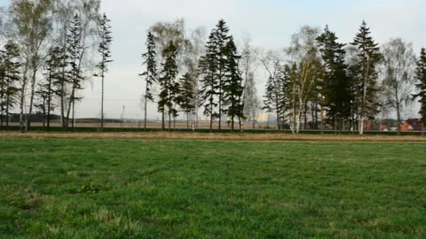 Beautiful sunset over field Stock Footage 89452228