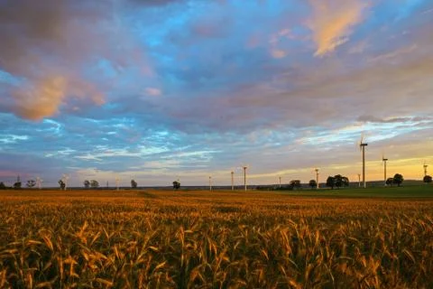 Beautiful sunset over fields Stock Photos