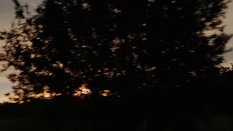 Beautiful sunset over fields, view from the window of a riding car Stock Footage