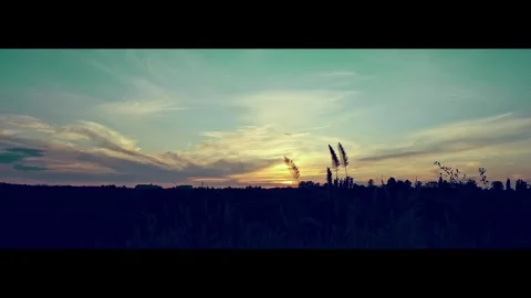 Beautiful sunset over the forest Stock Footage 313789729