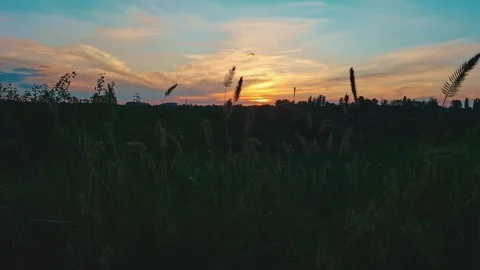 Beautiful sunset over the forest Stock Footage 313789733