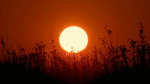 Beautiful sunset over the grass field. Orange-red sky. Stock Footage 131703090