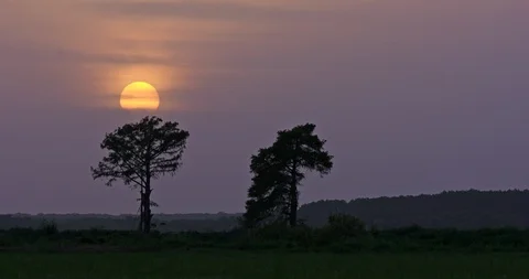 Beautiful sunset over the green fields Stock Footage 103858979
