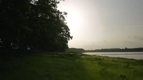 Beautiful Sunset Over Lake with Trees and Green Meadow Stock Footage 314705221