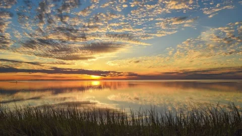 Beautiful sunset over a large bay with grasses in foreground Stock Footage 158767324
