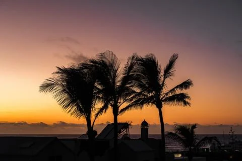 Beautiful sunset over the ocean with palm trees silhouetted on the shore Stock Photos