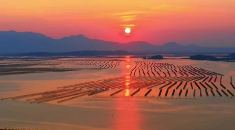Beautiful sunset over the oyster fields Stock Footage 285495377