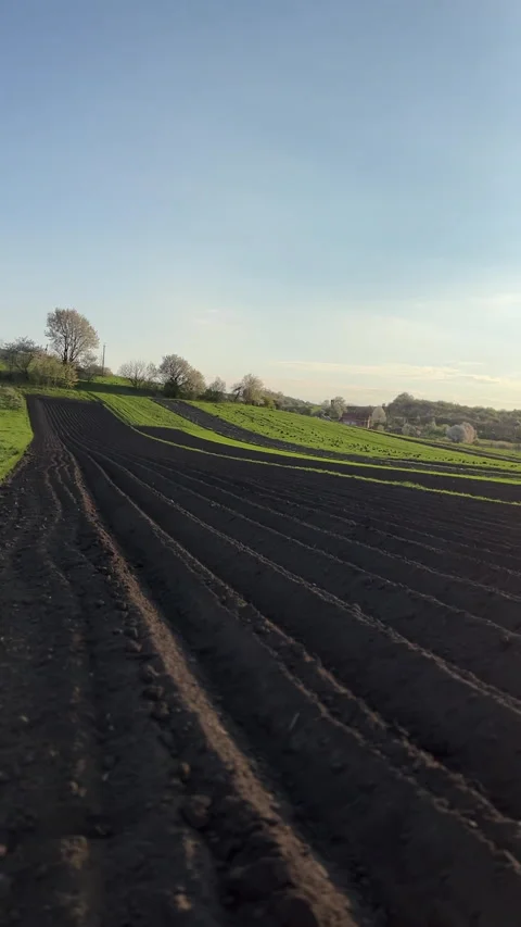A beautiful sunset over the plowed fields in a picturesque countryside landscape Stock Footage 306080186