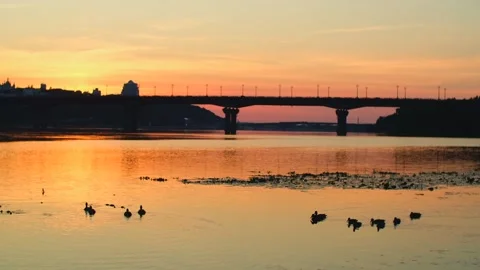 Beautiful sunset over river with ducks. Idyllic nature landscape scene. Kyiv Stock Footage 251735660