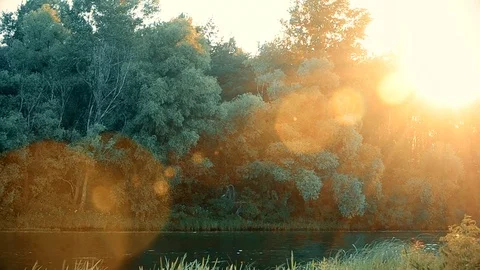 Beautiful sunset over river in summer with lense flare Stock Footage 72126994