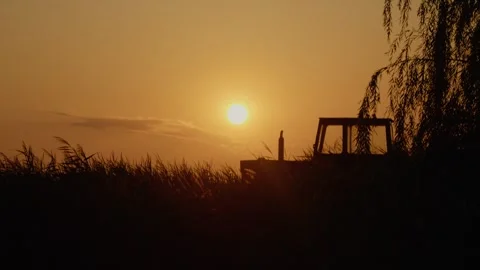 Beautiful sunset over a tractor and reeds in a serene natural setting Stock Footage 324611524