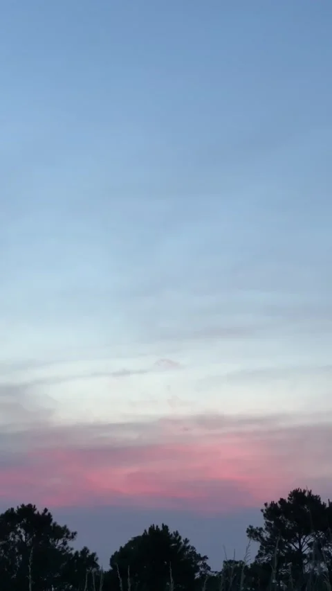 A beautiful sunset over trees at the beach 스톡 동영상 197020403