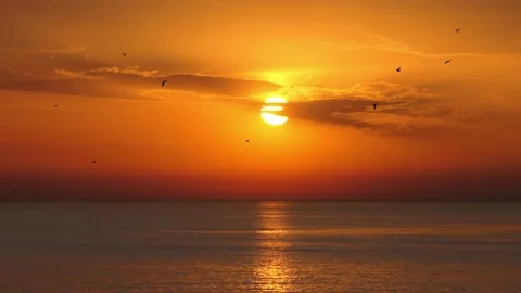 Bacck The Bi Stock Videos – Royalty-Free HD & 4K Videos | Pond5