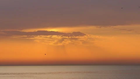 Bacck The Bi Stock Videos – Royalty-Free HD & 4K Videos | Pond5