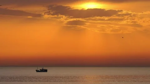 Bacck The Bi Stock Videos – Royalty-Free HD & 4K Videos | Pond5