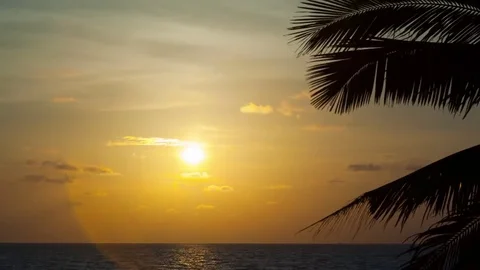 Beautiful sunset with palm Stock Footage 75987456