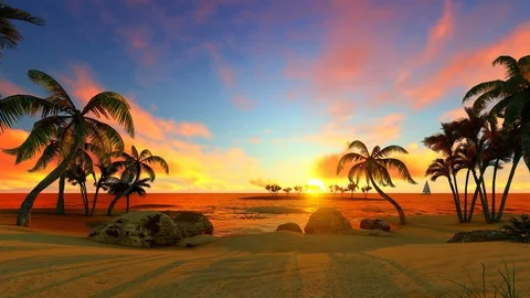 Beautiful sunset with palm trees Stock Footage 109362983