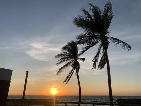 The beautiful sunset with palm trees Stock Photos
