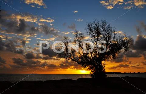 Beautiful sunset Stock Photos