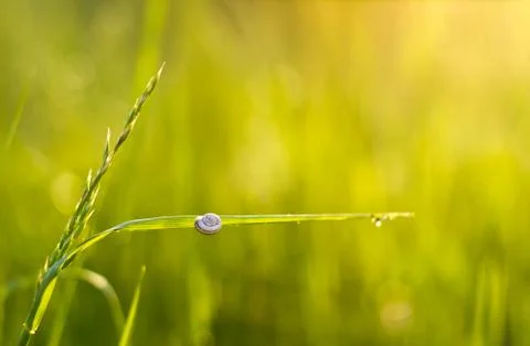 Beautiful sunset Stock Photos