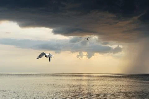 Beautiful sunset Stock Photos