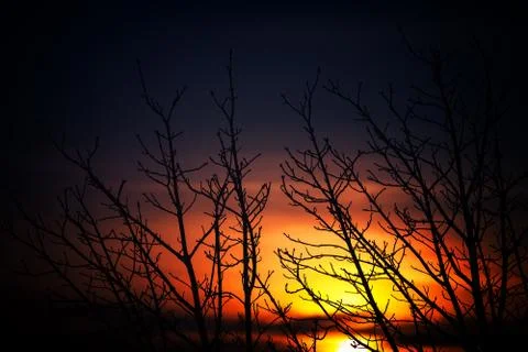 Beautiful sunset Stock Photos