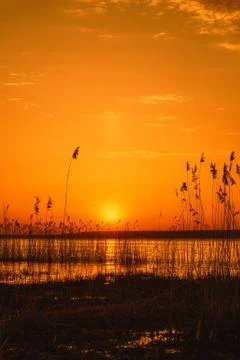Beautiful sunset Foto stock