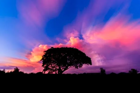 Beautiful sunset Stock Photos