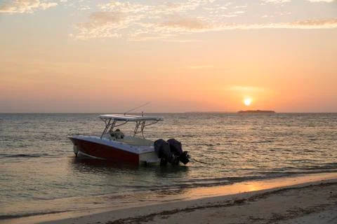 Beautiful sunset Stock Photos