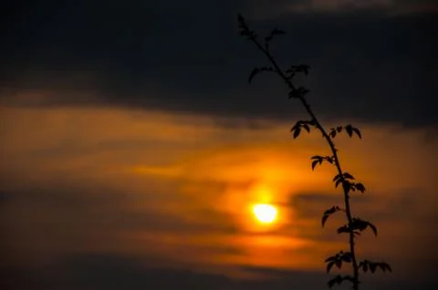 Beautiful sunset Stock Photos