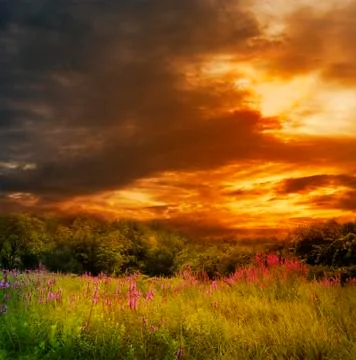 .Beautiful Sunset Foto stock
