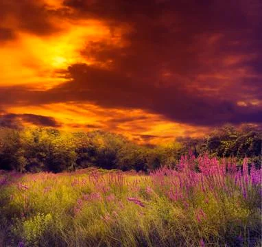 Beautiful Sunset Stock Photos