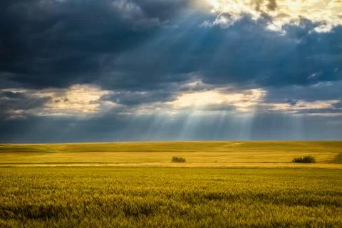 A Beautiful Sunset Stock Photos