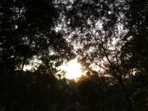 Beautiful sunset Stock Photos