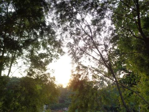 Beautiful sunset Stock Photos