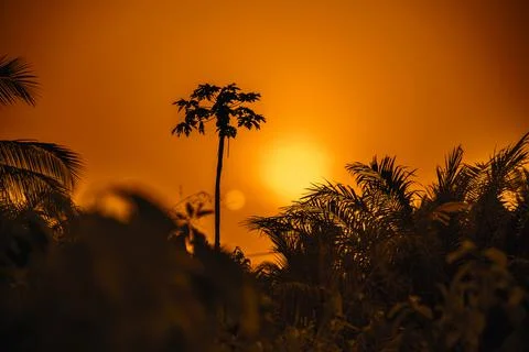 Beautiful sunset Stock Photos