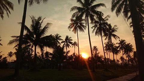 Beautiful Sunset Stock Photos