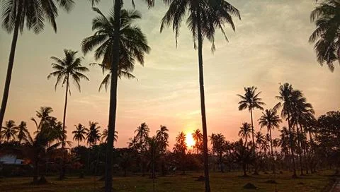 Beautiful Sunset Stock Photos