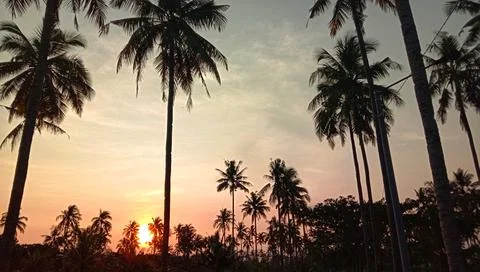 Beautiful Sunset Stock Photos