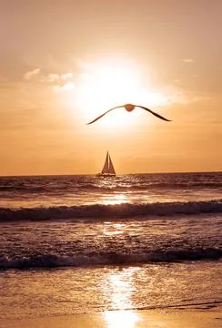 Beautiful sunset 写真素材