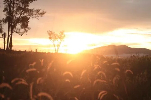 Beautiful sunset Stock Photos