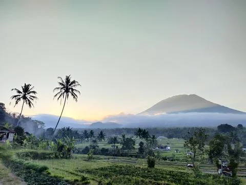 Beautiful sunset Stock Photos