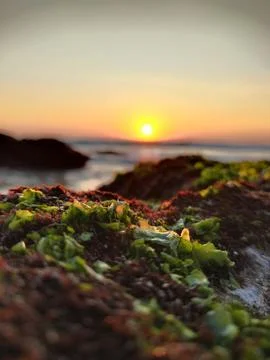 Beautiful sunset Stock Photos