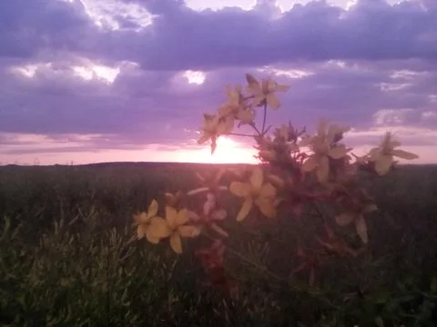 Beautiful sunset Stock Photos